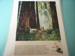 ANCIENNE PUBLICITE VOYAGE TWA USA FORET CALIFORNIENNE - Advertenties