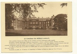 Le Chateau Du Roeulx - Le Roeulx