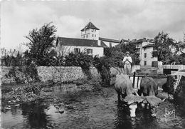 64-ASCAIN- LA PLACE , L'EGLISE ET L'HÔTEL DE LA THUNE OU PIERRE LOTI ECRIVIT RAMUNTCHO - Ascain