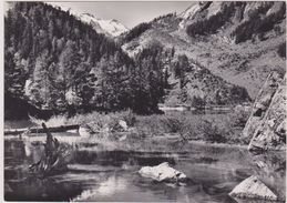 SUISSE,HELVETIA,SWISS,SWITZERLAND,SVIZZERA, VALAIS,CONTHEY,DERBORENCE ,VALLEE DE LA LIZERNE,FORET,CARTE PHOTO BROCCARD - Andere & Zonder Classificatie