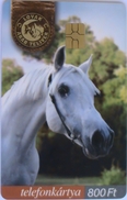 HUNGARY - Horse Arabian Fullbreed ,07/03, Tirage 50.000 ,used - Horses