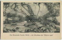 Berlin - Der Botanische Garten Berlin - Im Schauhaus Der Viktoria Regia - Dahlem