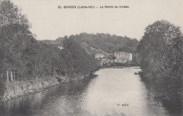 Gorges 44 - La Sèvre Au Liveau - Edition Chapeau N° 20 - Gorges