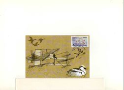 Carte Postale Illustrée Hydravion Fabre Aviation - ....-1914: Précurseurs