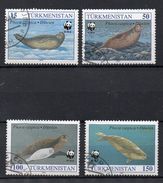 TURKMENISTAN   Série De Timbres  ( Ref 379 B ) Animal - Phoque - Turkmenistán