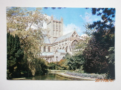 Postcard Wells Cathedral My Ref B21721 - Wells