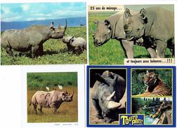 Lot 4 Cpm - RHINOCÉROS - - Rhinoceros