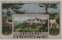 Kurhaus Weissenstein - Alpenpanorama - Litho A. Trüb No. 2498 - Sonstige & Ohne Zuordnung