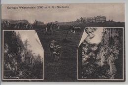 Kurhaus Weissenstein - Nordseite, Risi-Fussweg, Risi, Kühe, Vaches - Photo: Metz - Otros & Sin Clasificación