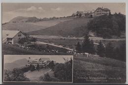 Kurhaus Weissenstein - Solothurner Jura - Photo: Metz - Sonstige & Ohne Zuordnung