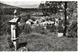 74 - BONNE SUR MENOGE - Vue Sur Basse Bonne Au Fond Le Jura   (9X14) - Bonne