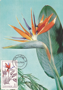 FLOWERS ,STRELITZIA, MAXIMUM CARD, 1970, ROMANIA - Maximumkaarten