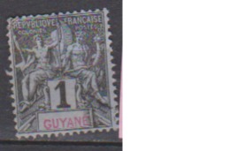 GUYANE      N°   30          OBLITERE         ( O 1698 ) - Usati