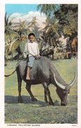 D6247 "FILIPPINE - CARABAO - PHILIPPINE ISLANDS"  ANIMATA, BAMBINO  CON BUE. CART  NON  SPED - Philippines