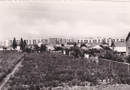 94. CHEVILLY LA RUE.  RUE PETIT LEROY. ANNÉE 1989 - Chevilly Larue