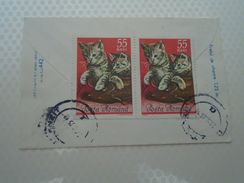 D152331  Romania Postal Stationery Cover 1965 - Stamp  Cat Chat Katze - Storia Postale