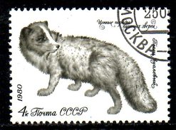 URSS. N°4707 De 1980 Oblitéré. Isatis. - Fauna ártica