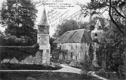 MONTMORT - Le Château - Ruines Du Vieux Château - Les Tourelles - Montmort Lucy
