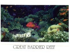 (45) Australia - (with Stamp At Back Of Card)  - QLD - Great Barrier Reef - Great Barrier Reef