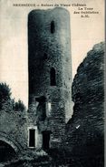 BRESSIEUX RUINES DU VIEUX CHATEAU LA TOUR DES ENVIRONS D ALLEYRAS VABRES AVEC SA PLAINE MAGNIFIQUE OUBLIETTES - Bressieux