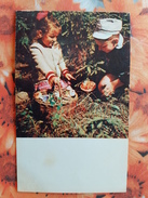 CHILDREN - Mushroomers -  Champignon - OLD Postcard - MUSHROOM 1969 - Hongos