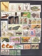 Lot 111 Fauna 40 Different - Other & Unclassified