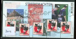 NEDERLAND * BLOK NVPH 3014 * BLOCK * BLOC * POSTFRIS GESTEMPELD  *  STAPHORST - Used Stamps