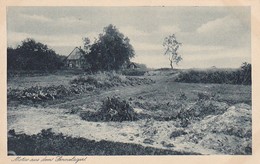 AK Paderborn - Motiv Aus Dem Sennelager - Ca. 1930 (29963) - Paderborn