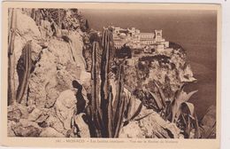 MONACO,PRINCIPATU DE MUNEGU,rocher Du Prince,jardin Exotique,cactus - Autres & Non Classés