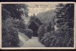 Bad Wildungen - S/w Blick Auf Die Georg Victor Quelle - Bad Wildungen