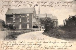 Visé - Route De Moulan Et Collège St-Hadelin (animée, 1902) - Wezet