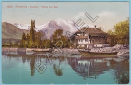 Gunten (Suisse) - Partie Du Lac De Thoune - Thoune / Thun