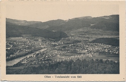 Olten - Totalansicht Vom Säli -Photgraph. Gesellschaft J. Buchmann & Cie Olten - No 1464 - Olten