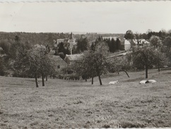 Ferrières ... Vue Bucolique Du Village - 1965 - Ferrieres