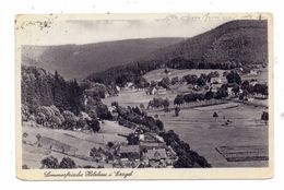 0-9213 RECHENBERG - BIENENMÜHLE - HOLZHAU, Dorfansicht, 1939 - Rechenberg-Bienenmühle