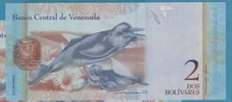VENEZUELA 2 Bolivares 31.01.2012 Serie K5705843x P# 88d - Venezuela