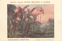 PIE 17-P Mo-4634 : ILES SEYCHELLES. MESSAGERIES MARITIMES.  MARIE BRIZARD & ROGER - Seychelles