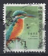 Hong Kong 2006  Birds; Common Kingfisher  $1 (o) - Oblitérés