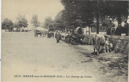 3776- MAUZE Sur Le MIGNON - Le Champ De Foire - Ed. Bergevin - Mauze Sur Le Mignon