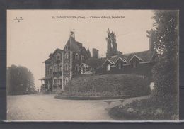 CHER - Sancergues - Chateau D'Augy, Façade Est - Sancergues