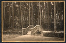 A5564 - Alte Ansichtskarte - Arnsorf In Sachsen - Partie Am Anstaltspark - Goldrand - Gel 1927 - Radeberg