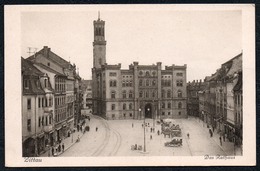 A5596 - Alte Foto Ansichtskarte - Zittau - Markt Und Rathaus - Bertha Zillessen TOP - Zittau