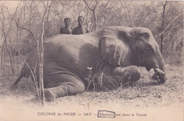 REPUBLIQUE DU NIGER - Colonie Du Niger - SAY - ELEPHANT TUÉ DANS LE TORODI - Niger
