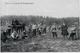 CPA Allemagne Germany Militaires Militaria MUNSTERLAGER Camp De Prisonniers Belgique France Angleterre - Autres & Non Classés