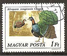 Ungarn 1977 O - Peacocks