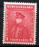 Terre Neuve New Foundland N° 206 Neuf XX MNH - Unused Stamps