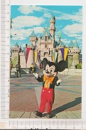 Disneyland Mickey Mouse - Anaheim