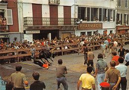 64-HASPARREN- AU COEUR DU PAYS BASQUE , SON FOLKLORE ET SES TRADITIONNELLES COURSES DE VACHES DANS LES RUES - Hasparren