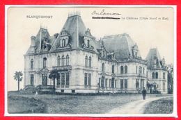 33 - BLANQUEFORT - Le Château - Blanquefort