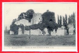 33 - BLANQUEFORT - Ensemble Des Ruines Du Château Du Diable - Blanquefort